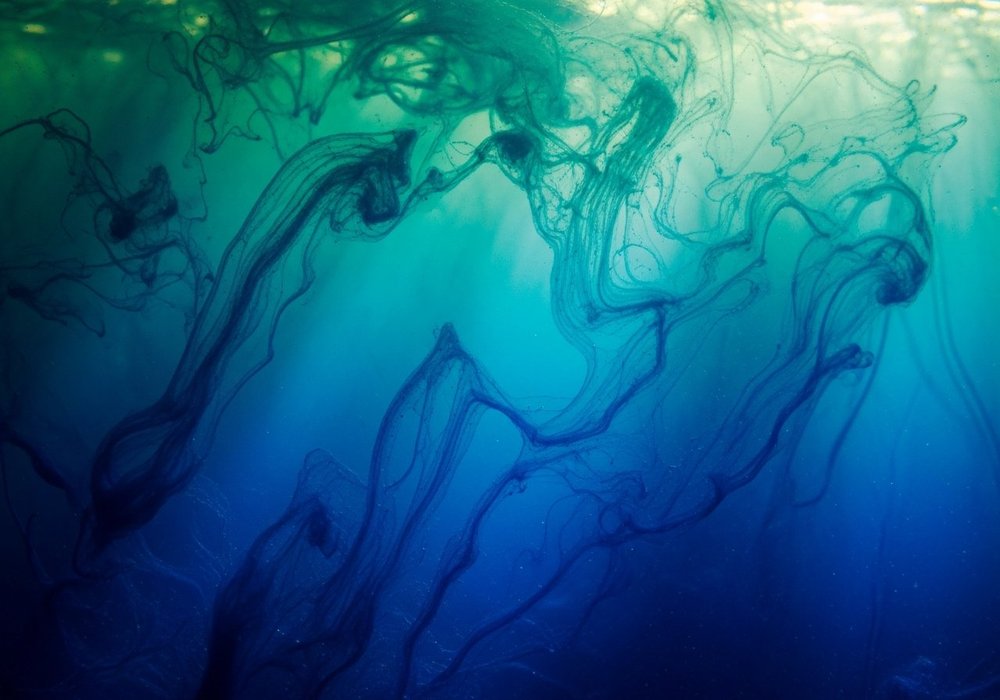 The deep blue-green pigment of spirulina algae in water