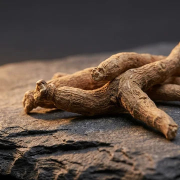 Strength, Testosterone and Recovery