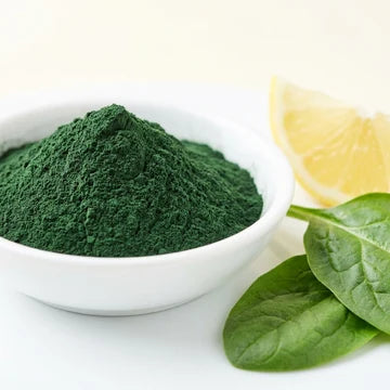 Foundational Vitamins and Minerals